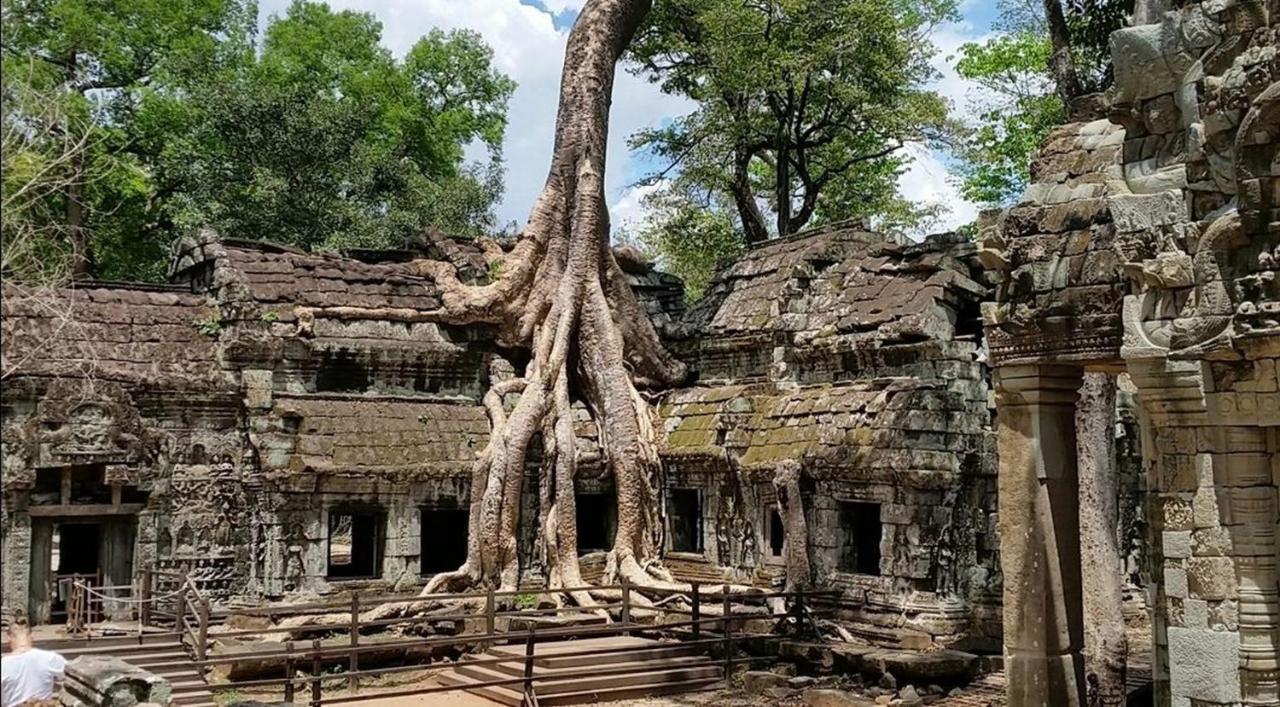 The Palmery Siem Reap Zewnętrze zdjęcie