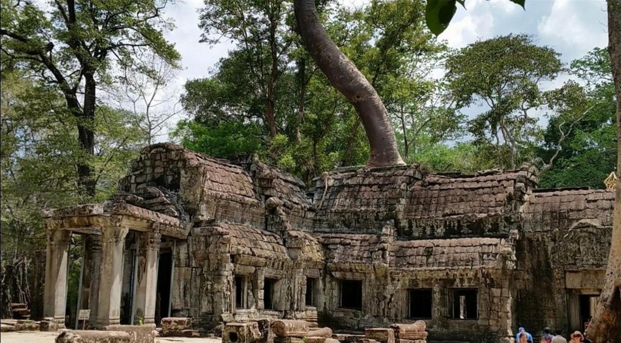 The Palmery Siem Reap Zewnętrze zdjęcie